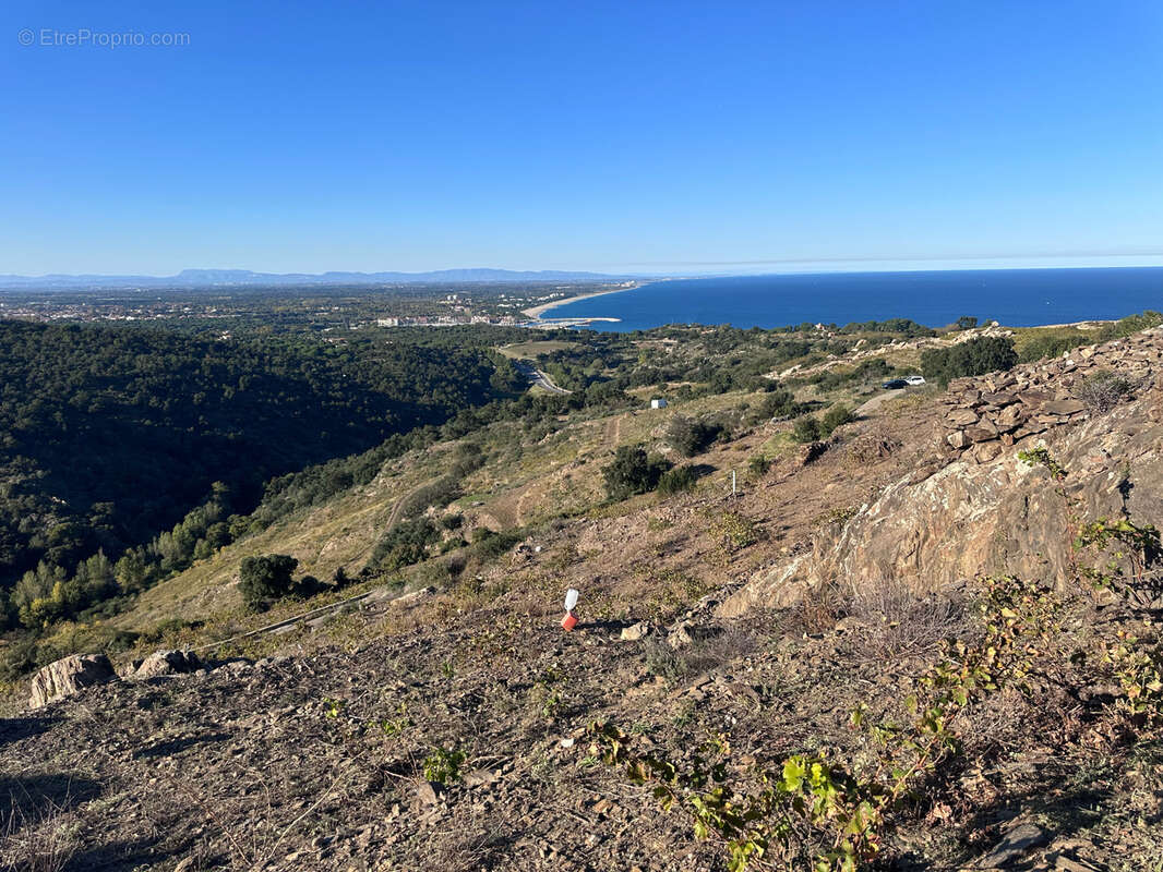 Terrain à COLLIOURE