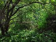 Terrain à SAINTE-MARIE-LAUMONT