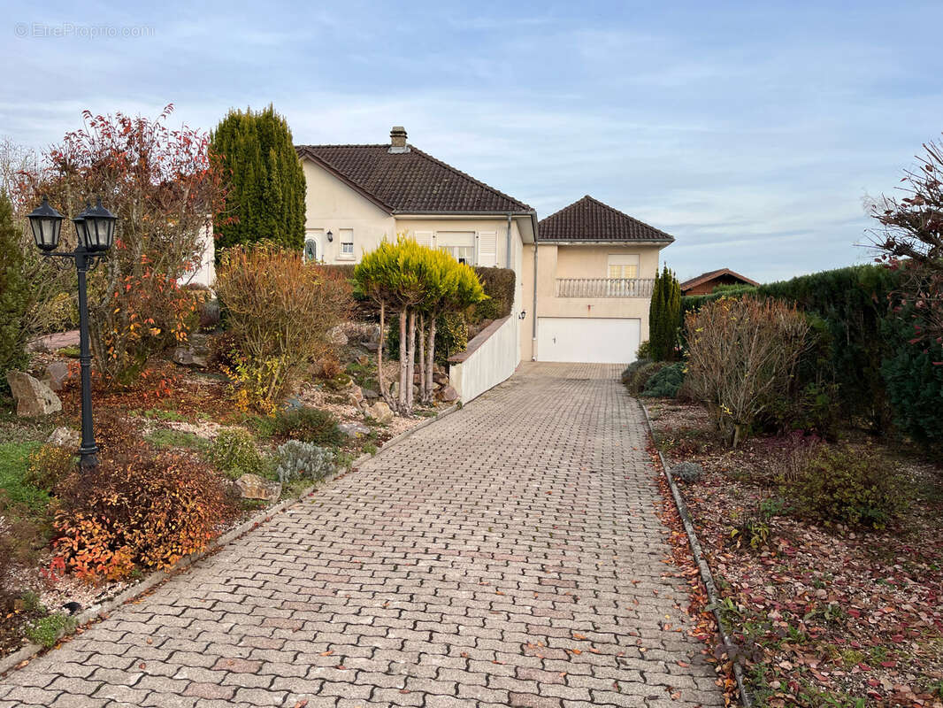 Maison à SARREINSMING