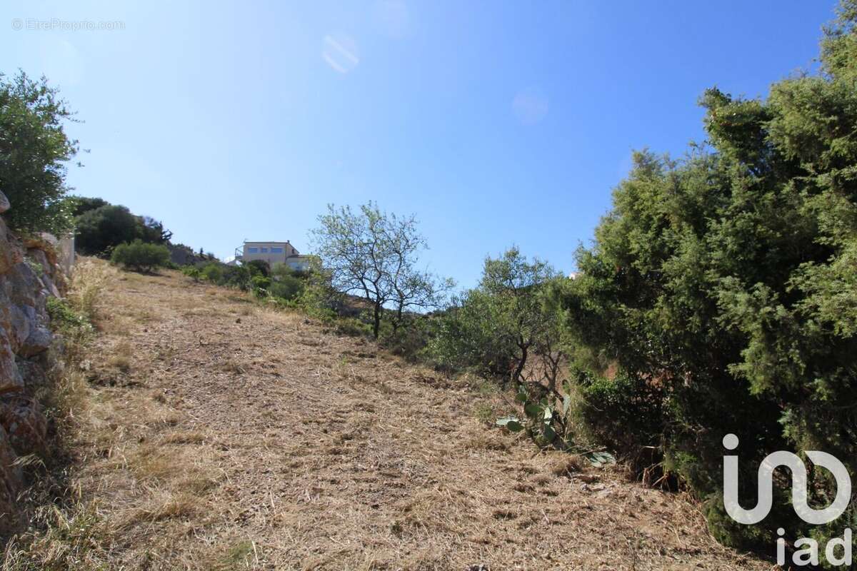 Photo 7 - Terrain à FITOU