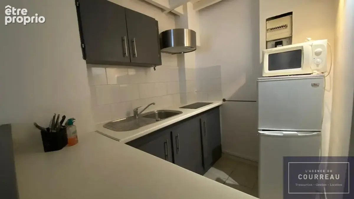 Magnifique duplex rénové de 30m2 - photo 16