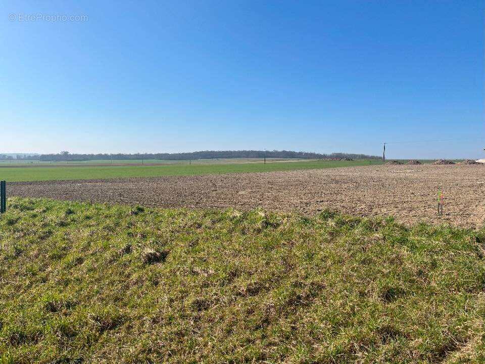 Terrain à HAUTE-AVESNES