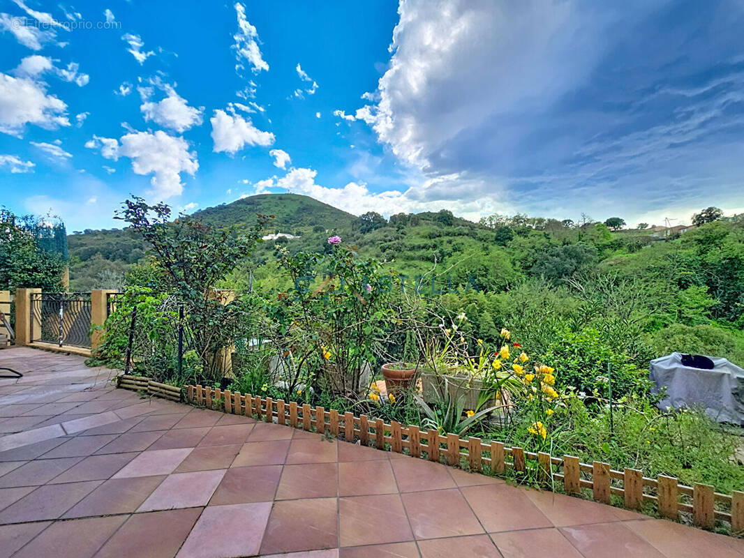 Maison à SARROLA-CARCOPINO