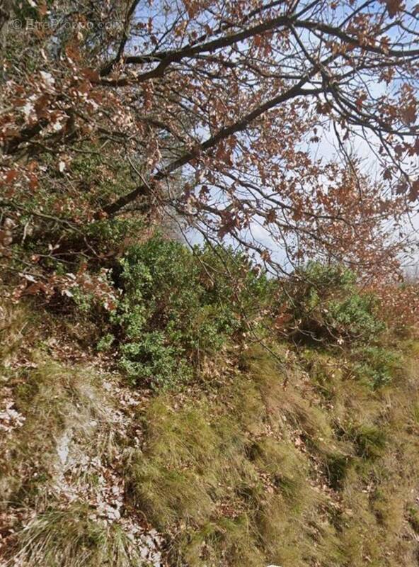 Photo 1 - Terrain à SABRAN