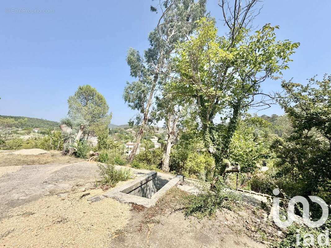 Photo 7 - Maison à SAINT-AMBROIX