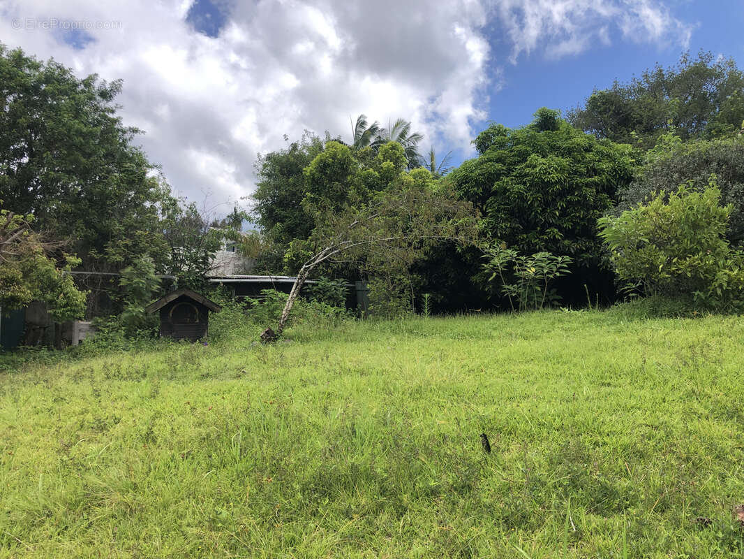 Terrain à LE TAMPON