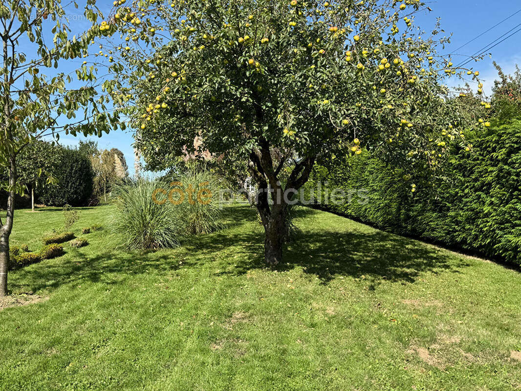Maison à SAVIGNY-LE-VIEUX
