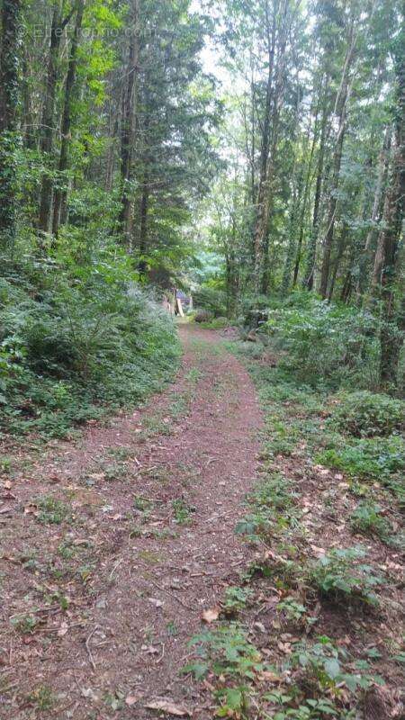 Terrain à SAINT-SALVY-DE-LA-BALME