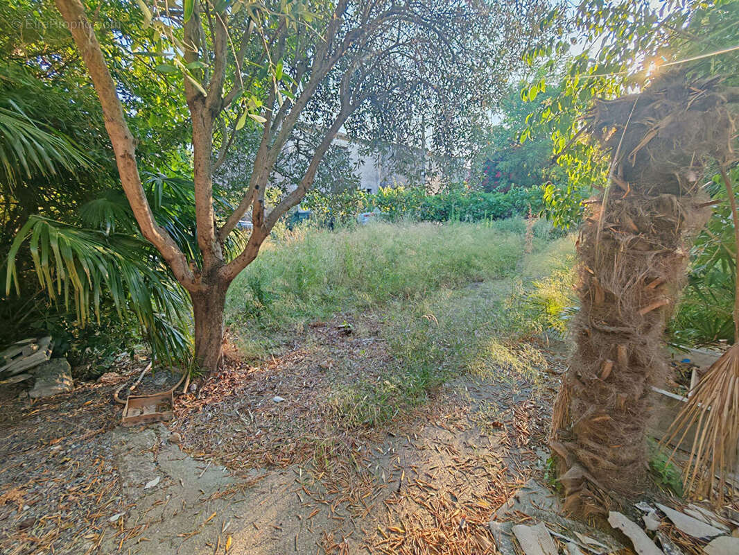 Maison à CANET