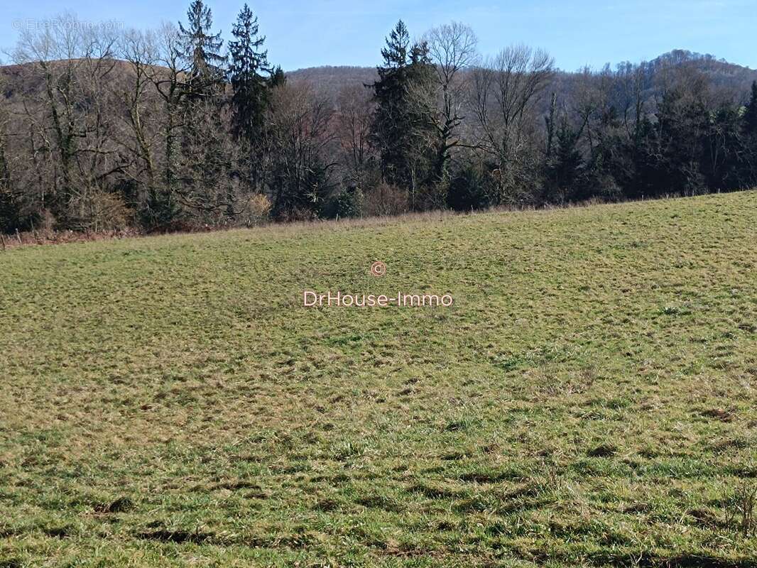 Terrain 1225 m² à Feas  - photo 5