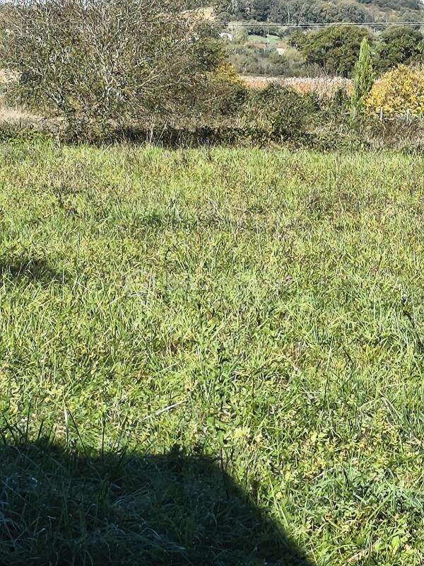 Terrain à TRIE-SUR-BAISE