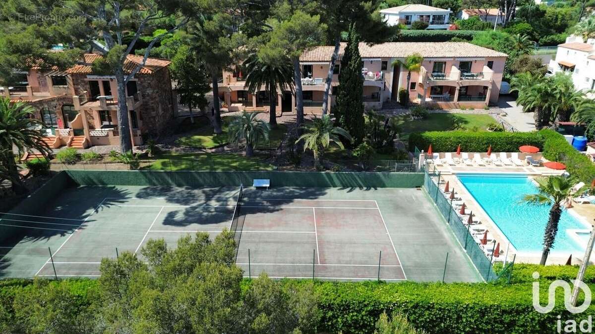 Photo 2 - Commerce à ROQUEBRUNE-SUR-ARGENS