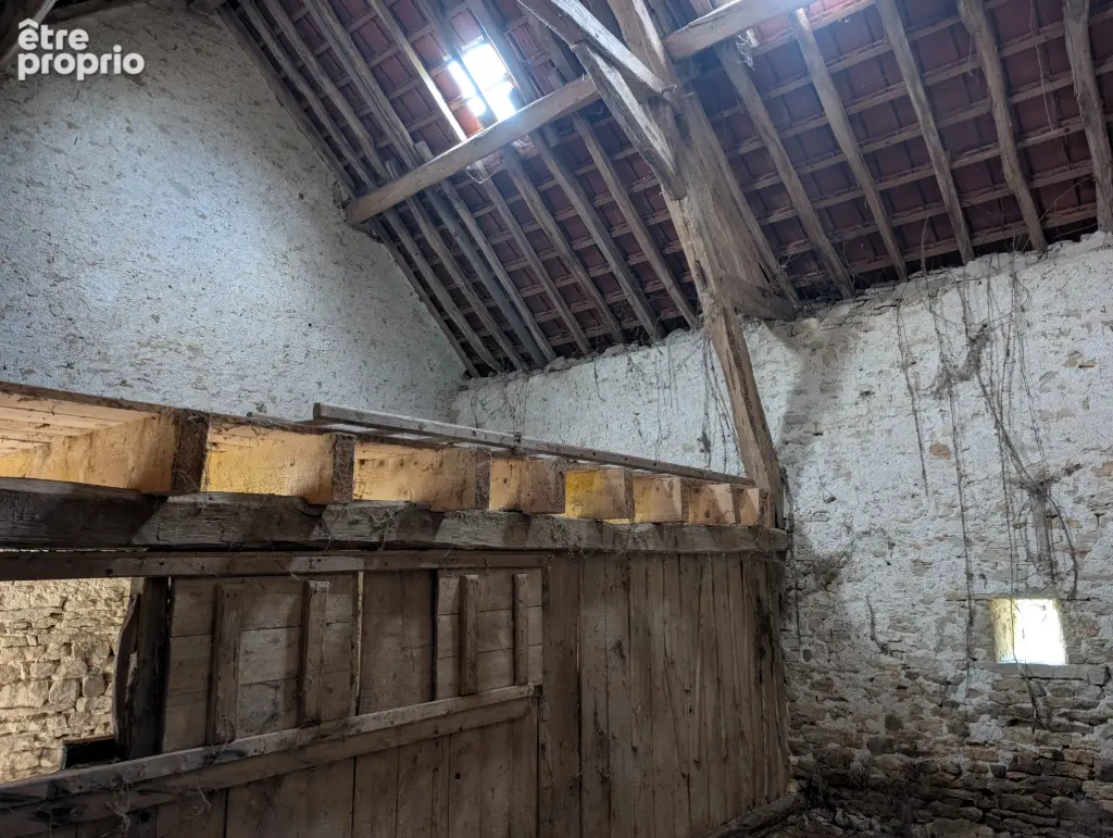 Cottage en forêt de Tronçais avec grange attenante  et autre terrain. - photo 16