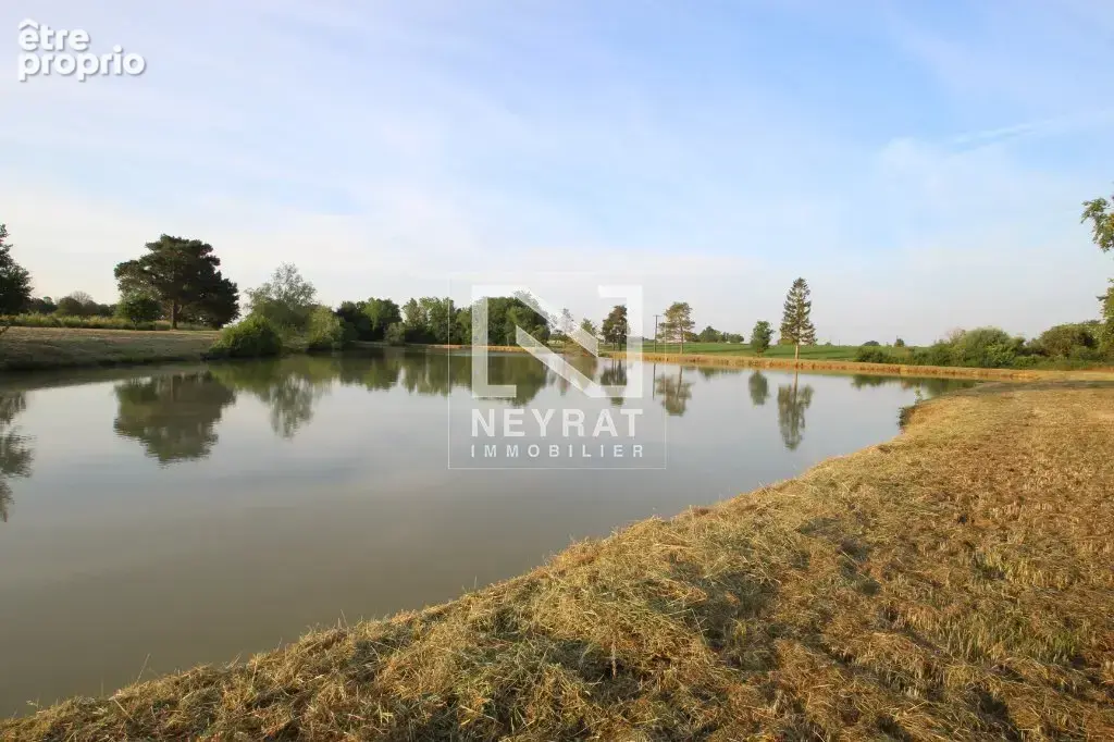 Etang avec sources - photo 8
