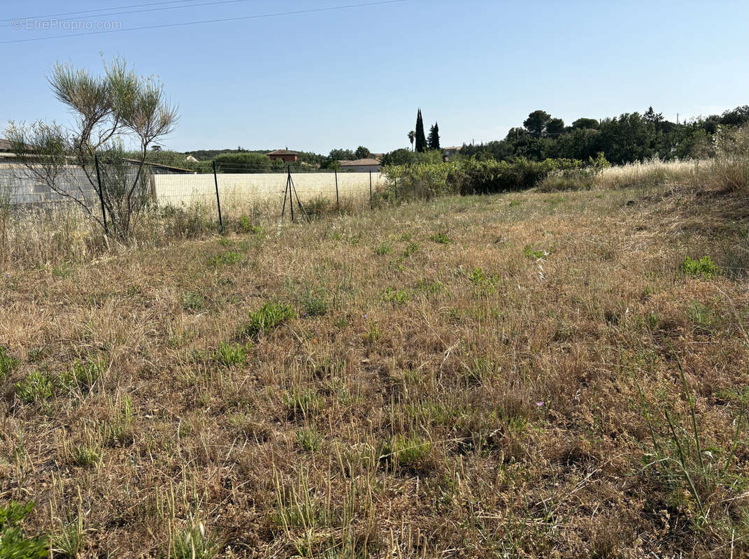 Terrain à FOUZILHON