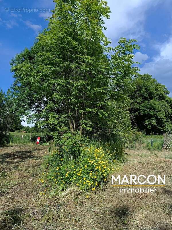 A 15 min de GUERET, grange avec terrain - photo 18