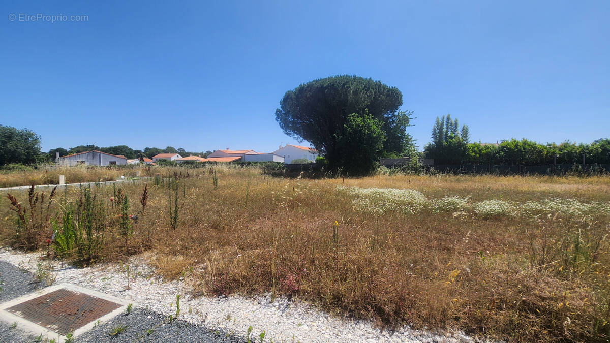Terrain à VAUX-SUR-MER