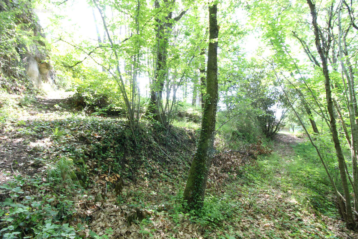 Terrain à SAINT-AFFRIQUE