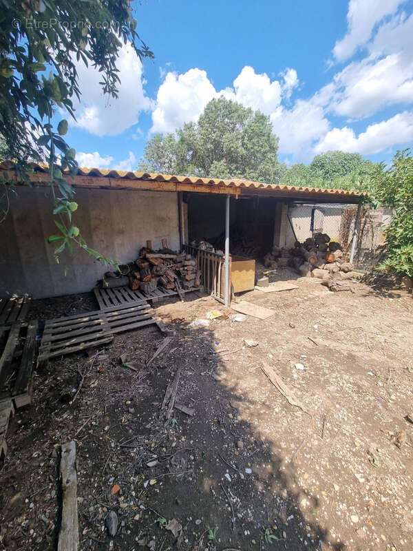 Mas à raphele - photo 24