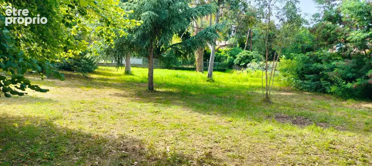 Terrain à SAN-NICOLAO