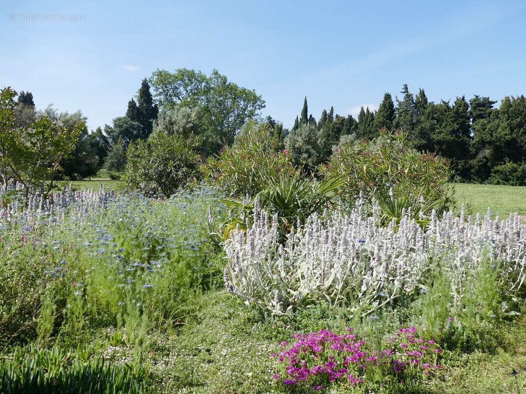 Direction mer en campagne Mas sur 3ha +350m² - photo 11