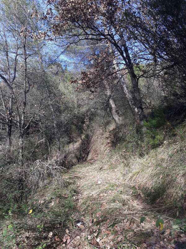 Terrain à L'ESCARENE