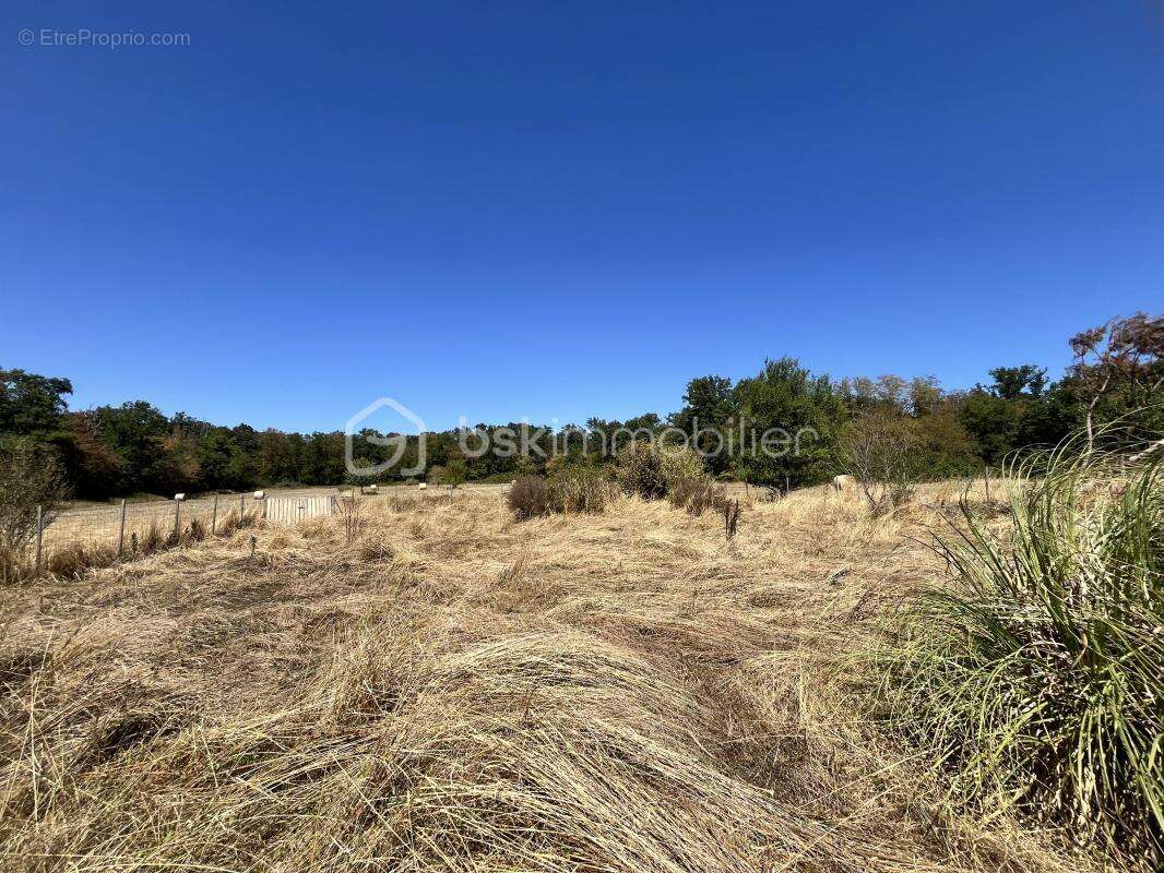 Coup de cœur : maison de 1940 en lisière de forêt, à deux pas d’un étang, sur 8 931m² de terrain avec dépendances - photo 27