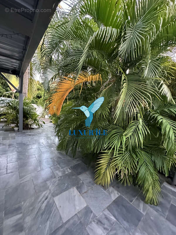 Maison à SAINT-MARTIN