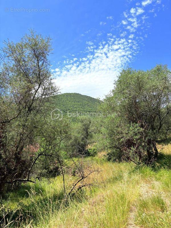 Terrain à PIERREFEU