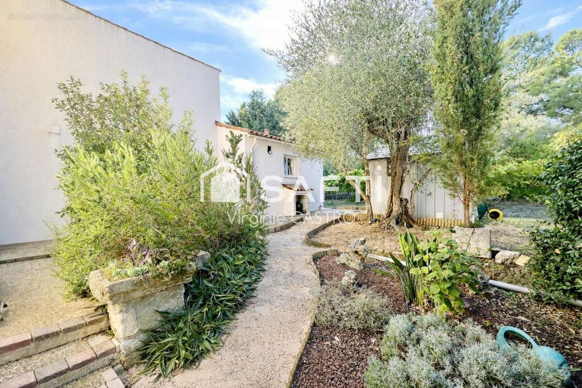 Photo 5 - Maison à MONTAUROUX