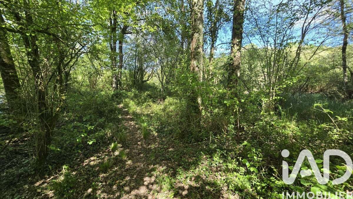 Photo 9 - Terrain à SAINT-GAUDENT