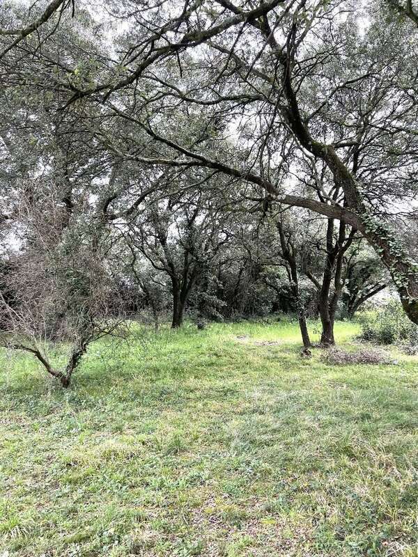Terrain à SAINT-BRES