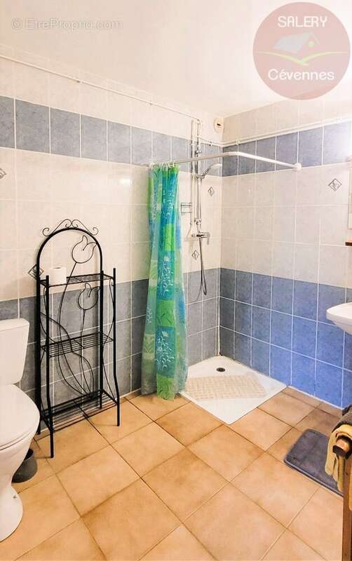 Maison à MAS-SAINT-CHELY