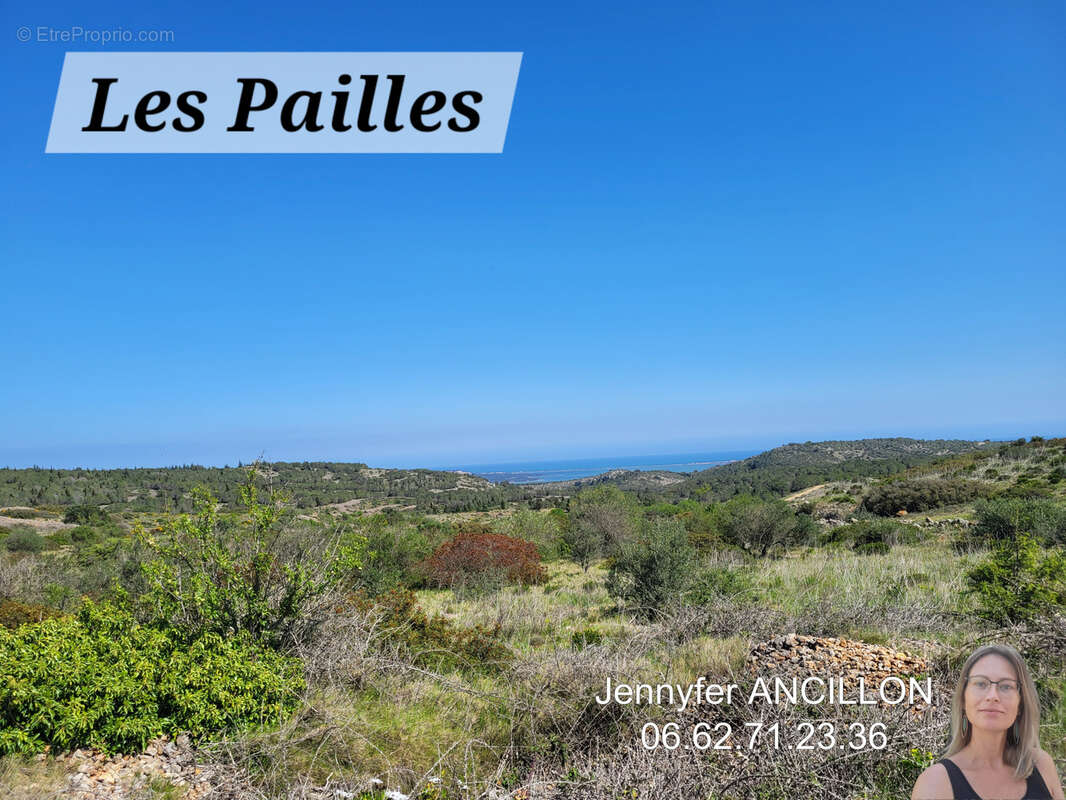 Plusieurs parcelles de terres à FITOU   21 000 m2 - photo 4