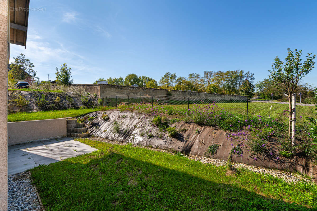 Maison à LA BALME-DE-SILLINGY