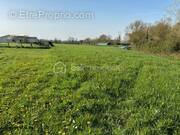 Terrain à SAINT-LOUP