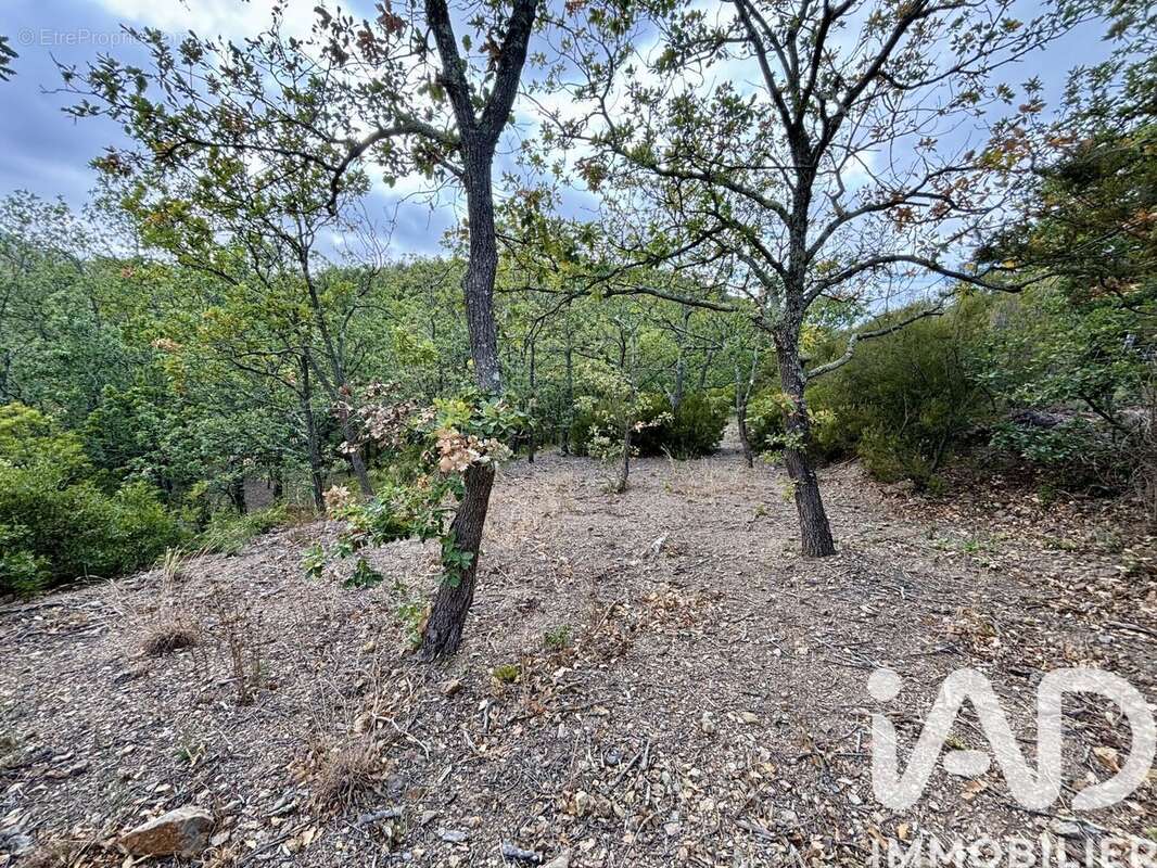 Photo 2 - Terrain à LA PALME