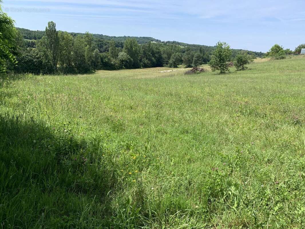 Terrain constructible de 1949m2 - photo 2