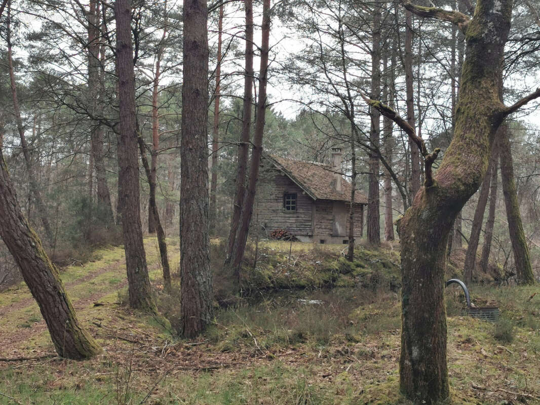 Maison à VILLEFRANCHE-SUR-CHER