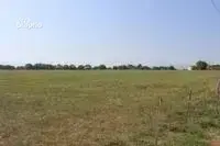 Secteur MONTREJEAU , Ferme agricole / dépendances / terrain de 8.5 Hectares; - photo 7