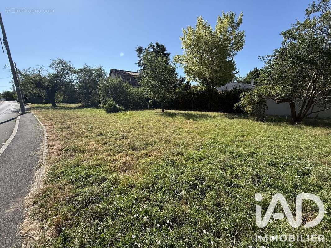 Terrain 897 m² à Saintry-Sur-Seine  - photo 5