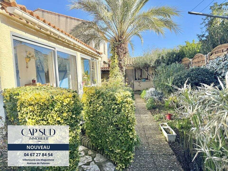 Maison à VILLENEUVE-LES-MAGUELONE
