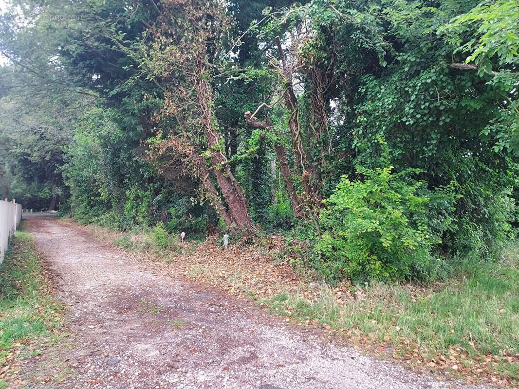 Terrain à LE GRAND-VILLAGE-PLAGE