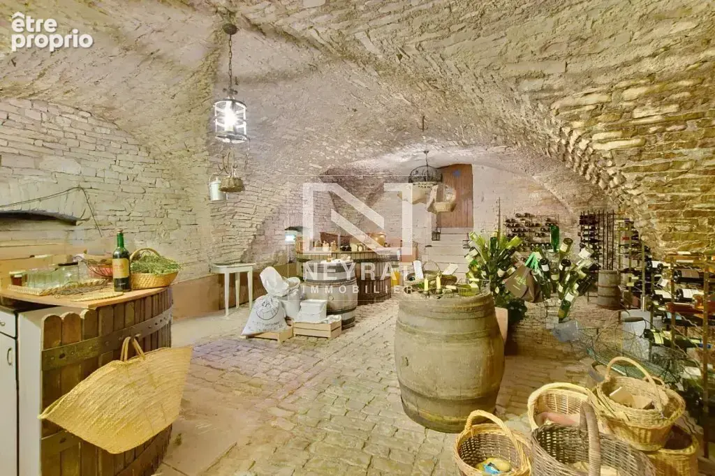 Vente en viager occupe - village de mercurey - photo 22