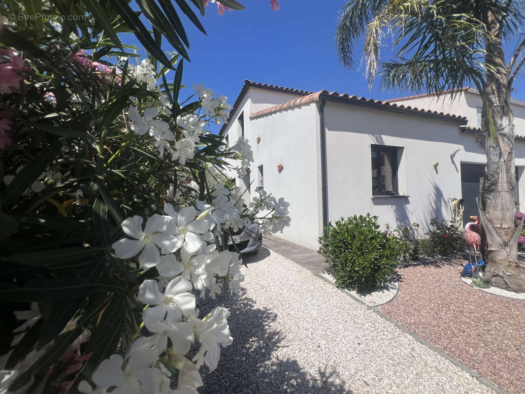 Achat - saint cyprien - villa contemporaine avec piscine - photo 3