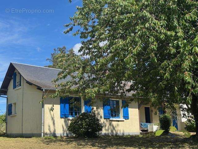 Maison 67 m² à Chamberet  - photo 10