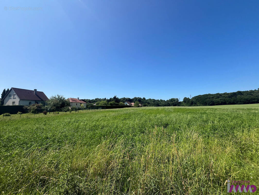 Terrain à BAVILLIERS
