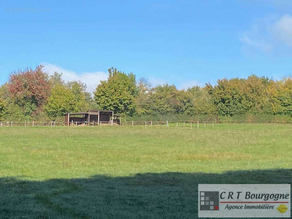 Maison à MOULINS-SUR-OUANNE