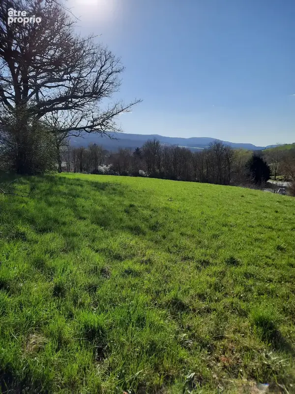 Terrain à SAINTE-EULALIE-DE-CERNON