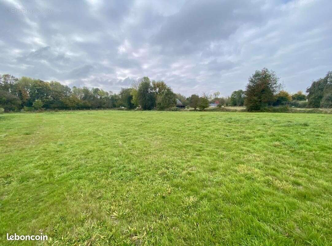 Terrain 718 m² Beuzeville - photo 2